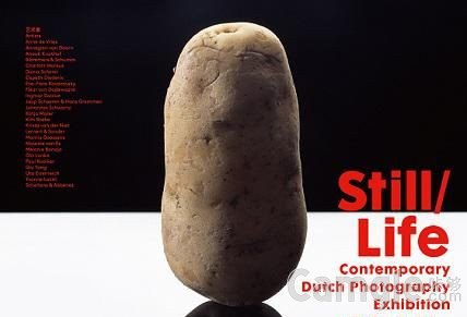 荷兰静物摄影如何还原属于一个土豆的优雅